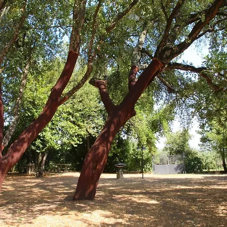 Casale Zuccari *
